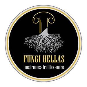 Fungi Hellas Fungi Hellas